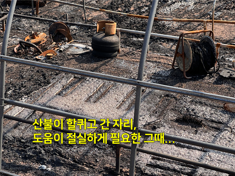 산불이 할퀴고 간 자리, 도움이 절실히 필요할때...